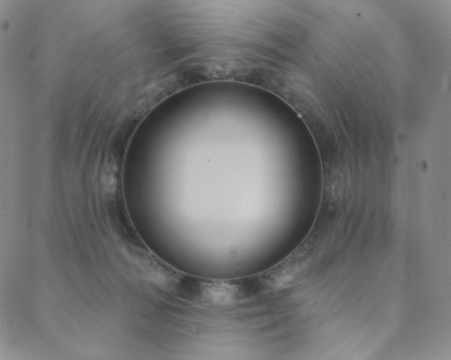 X0000089880226200706281357