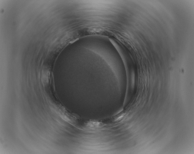 X0000089880227200706281357