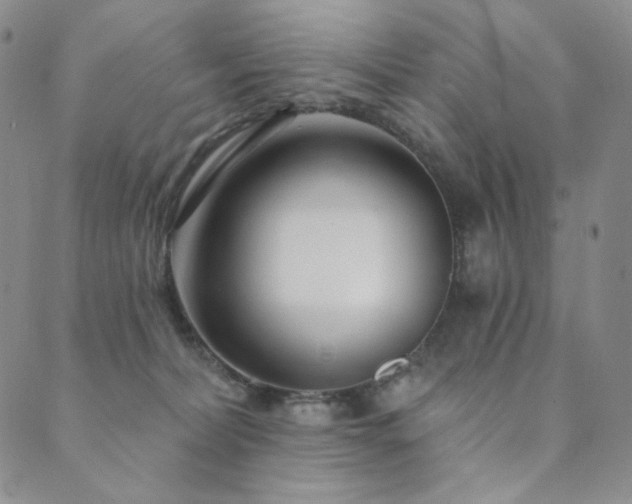 X0000089880228200706281357