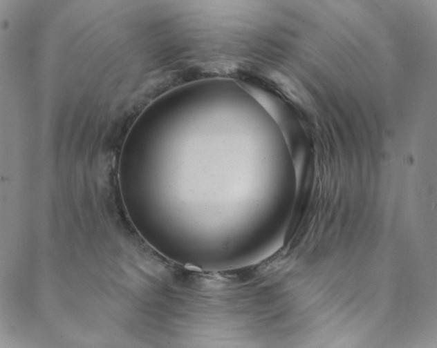 X0000089880229200706281357