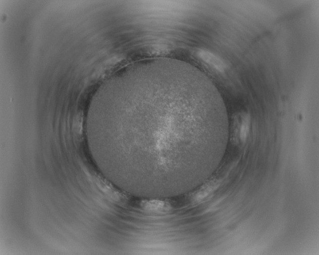 X0000089880230200706281357