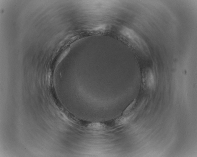 X0000089880231200706281357