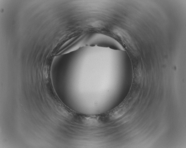 X0000089880232200706281357