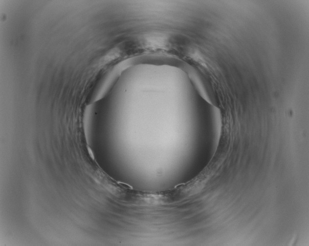 X0000089880233200706281357