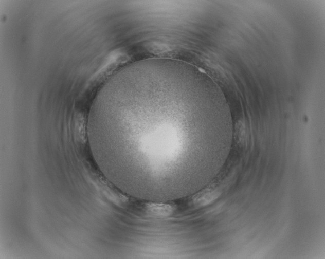 X0000089880234200706281357