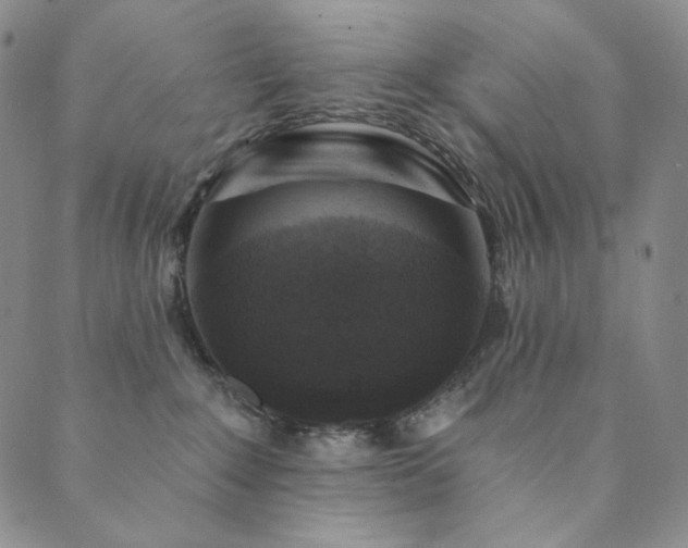 X0000089880235200706281357