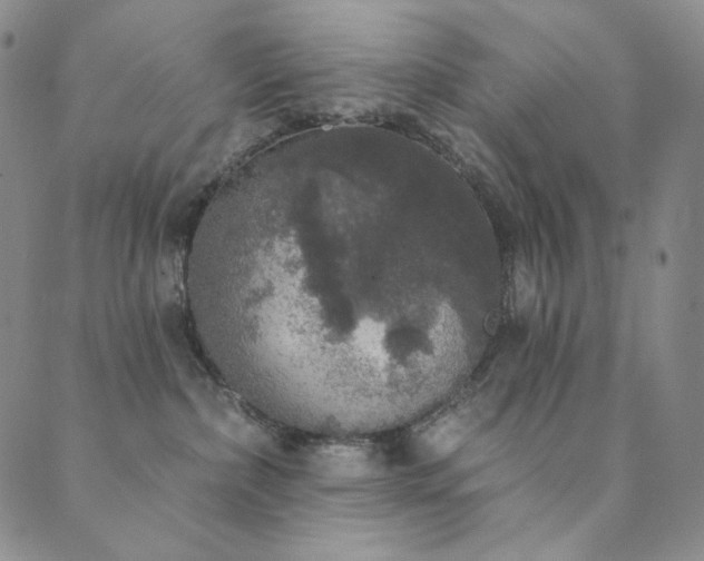 X0000089880236200706281357