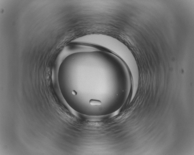 X0000089880237200706281357