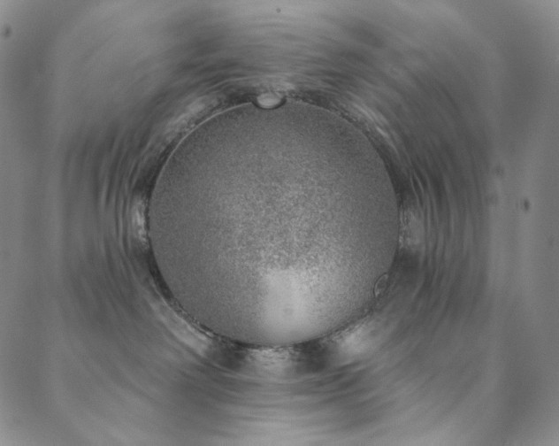 X0000089880238200706281357