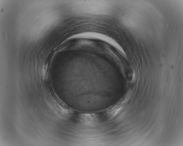 X0000089880239200706281357