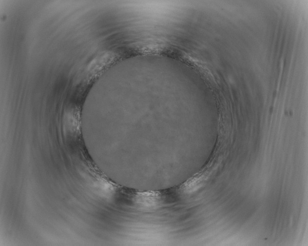 X0000089880240200706281357