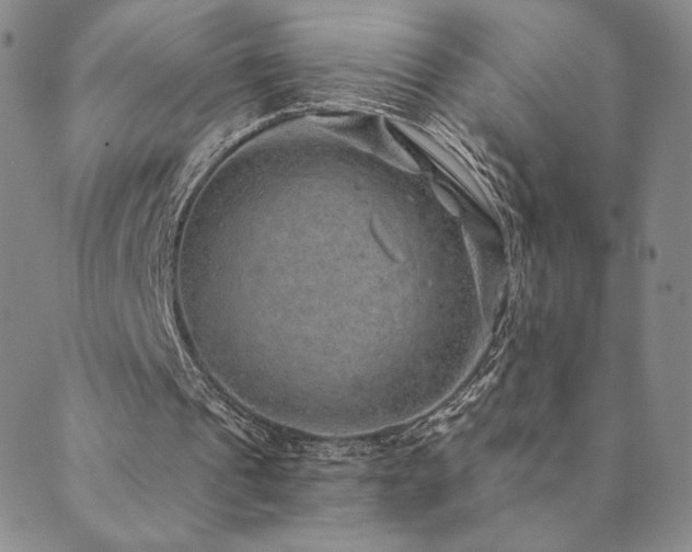 X0000089880241200706281356