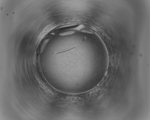 X0000089880242200706281356