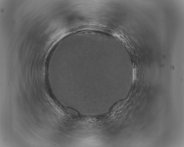 X0000089880243200706281356