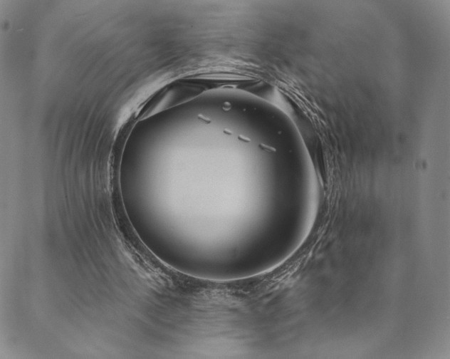 X0000089880244200706281356