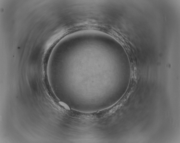 X0000089880245200706281357