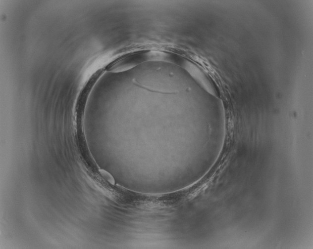 X0000089880246200706281357