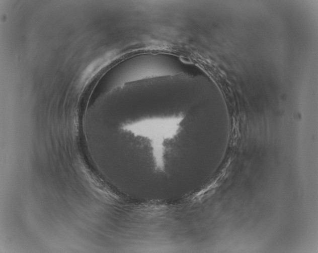 X0000089880247200706281357