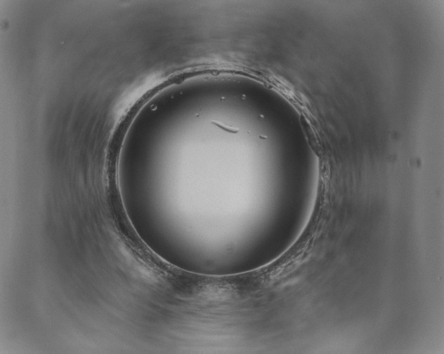 X0000089880248200706281357