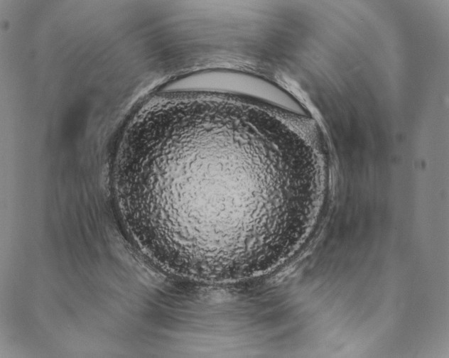 X0000089880249200706281357