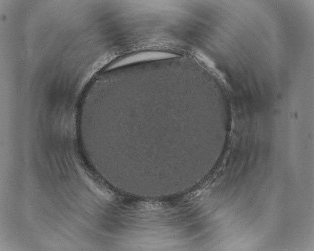 X0000089880250200706281357