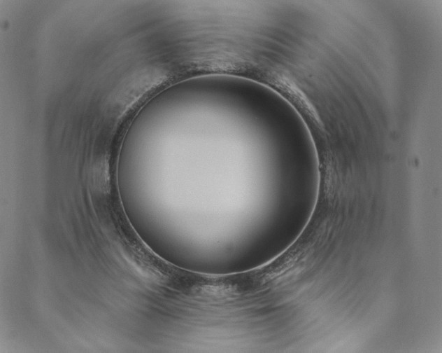 X0000089880251200706281357