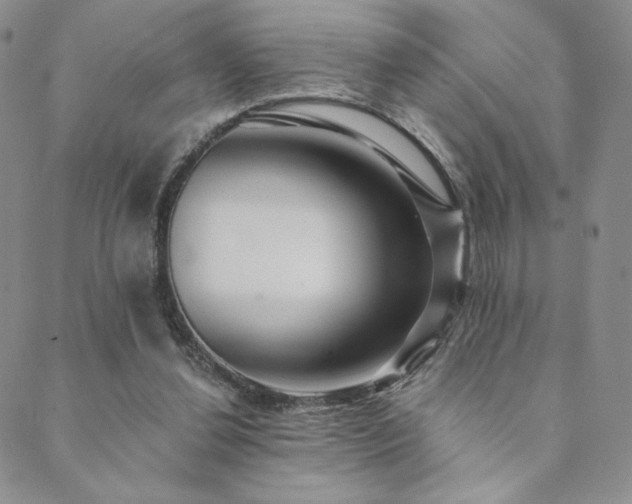 X0000089880252200706281357