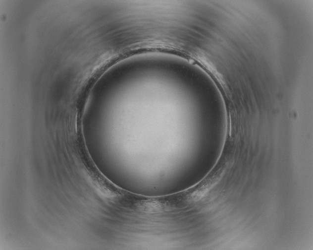 X0000089880253200706281357