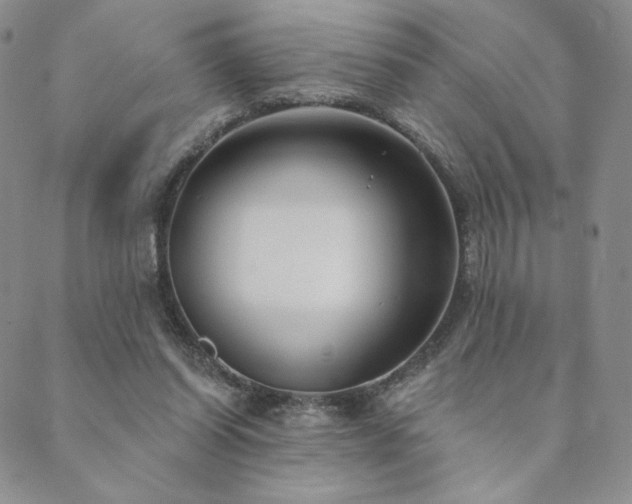 X0000089880254200706281357