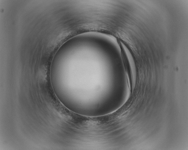 X0000089880255200706281357