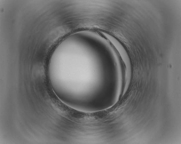 X0000089880256200706281357