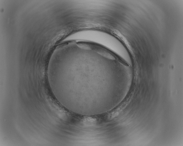 X0000089880257200706281357