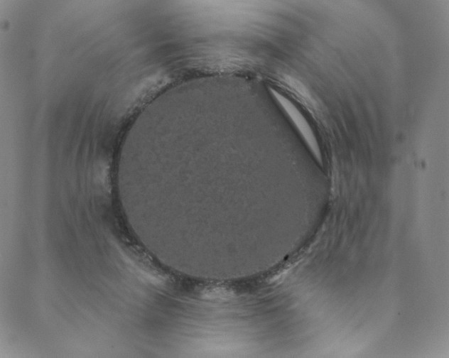 X0000089880258200706281357