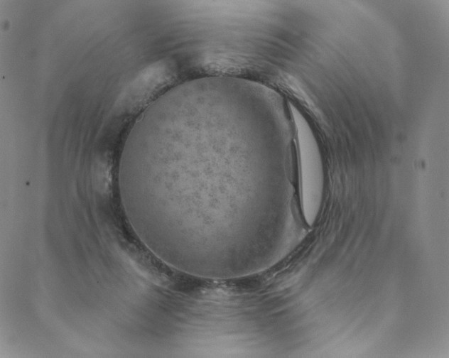 X0000089880259200706281357