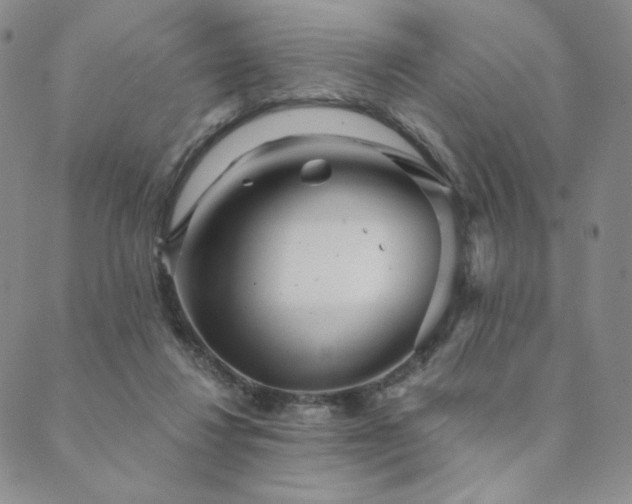 X0000089880260200706281357