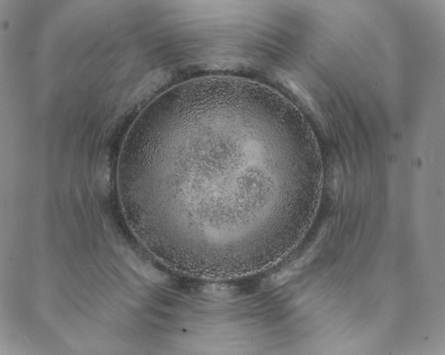 X0000089880261200706281357