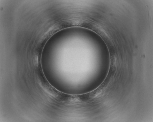 X0000089880262200706281357