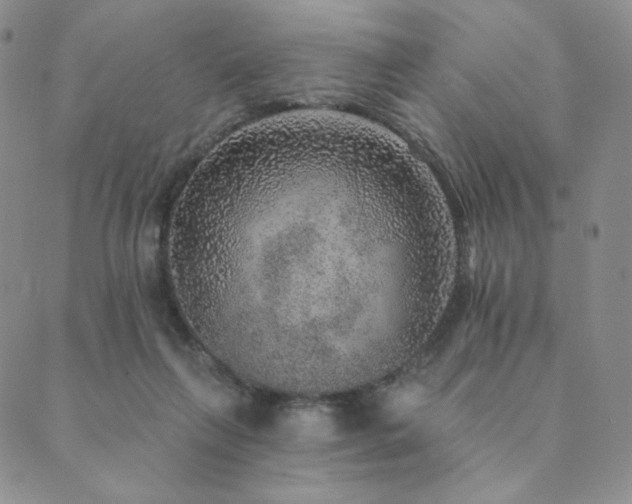 X0000089880263200706281357