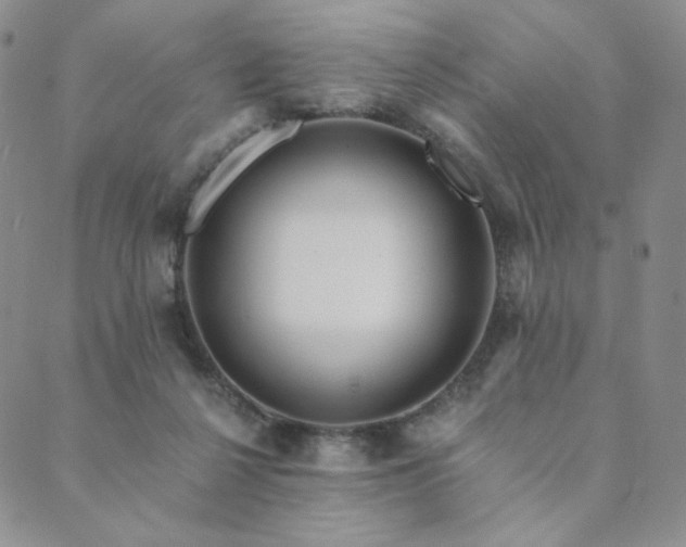 X0000089880264200706281357