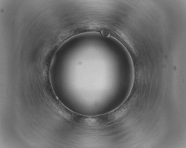 X0000089880265200706281357