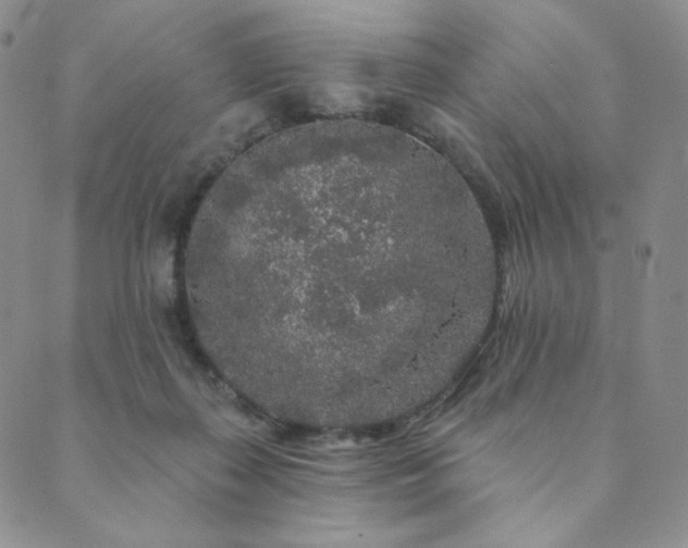 X0000089880267200706281357