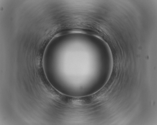 X0000089880268200706281357