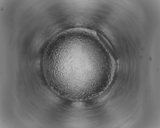 X0000089880269200706281357