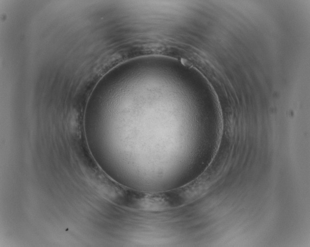 X0000089880270200706281357