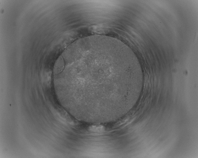 X0000089880271200706281357