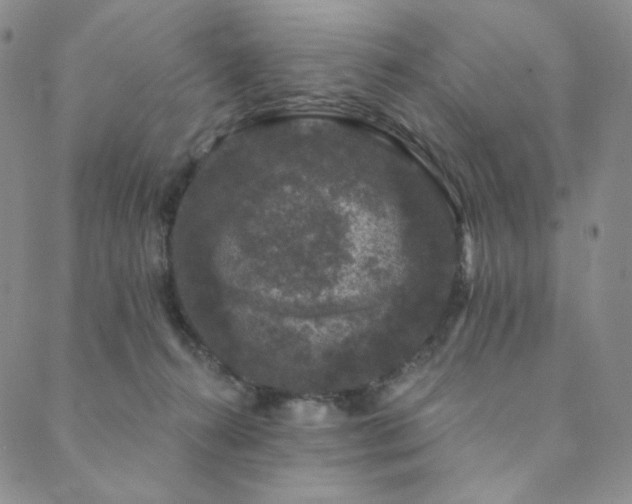 X0000089880272200706281357