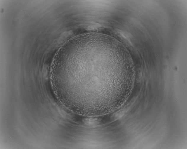 X0000089880273200706281357