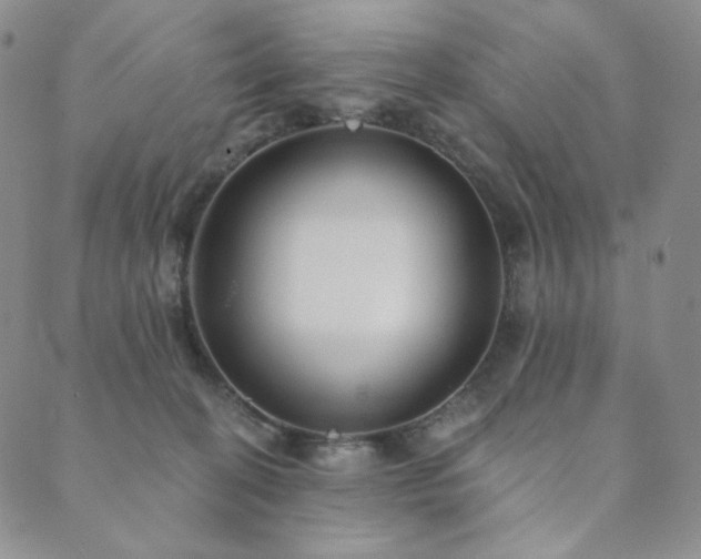 X0000089880274200706281357