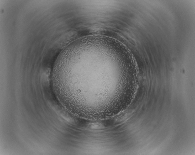 X0000089880275200706281357