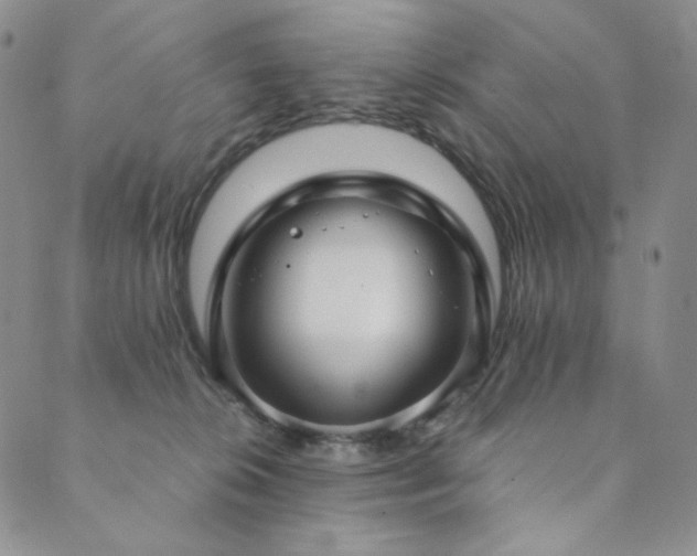 X0000089880276200706281357